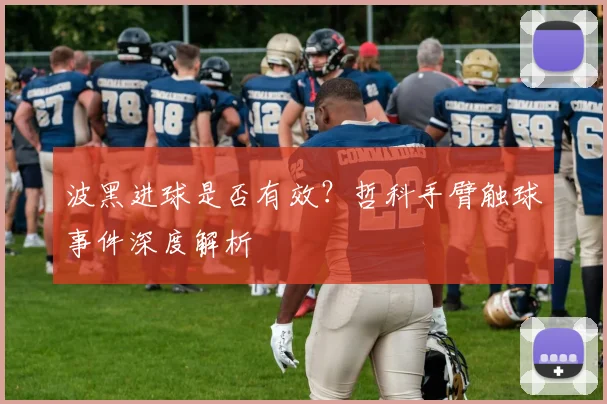 波黑进球是否有效？哲科手臂触球事件深度解析