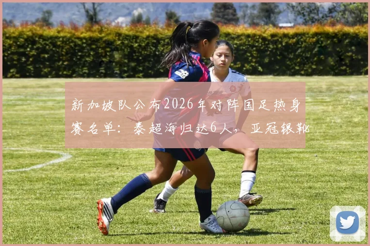 新加坡队公布2026年对阵国足热身赛名单：泰超海归达6人，亚冠银靴核心领衔